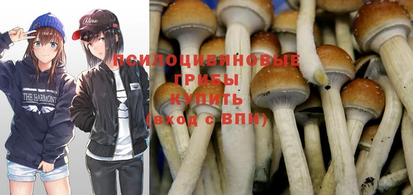 крисы Алексин