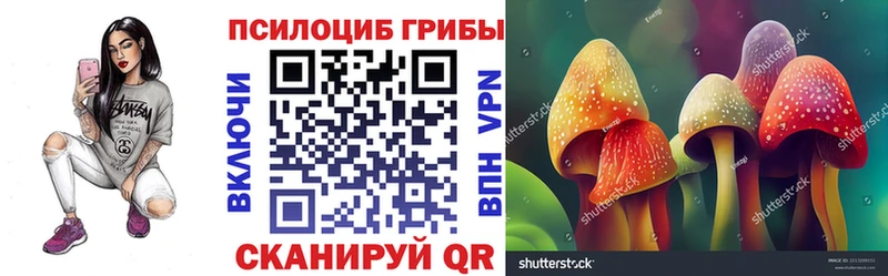 Галлюциногенные грибы MAGIC MUSHROOMS  мориарти Telegram  Кедровый 